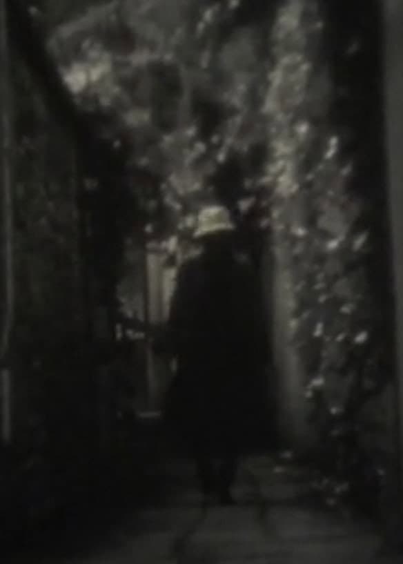 The Night of Copernicus backdrop