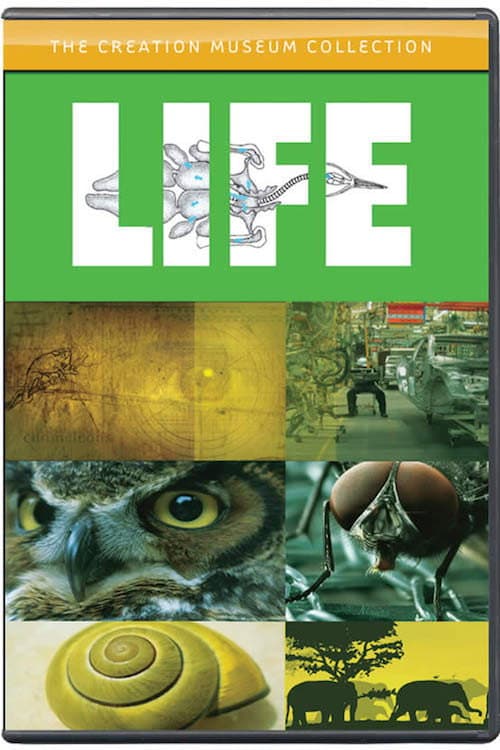 Life backdrop