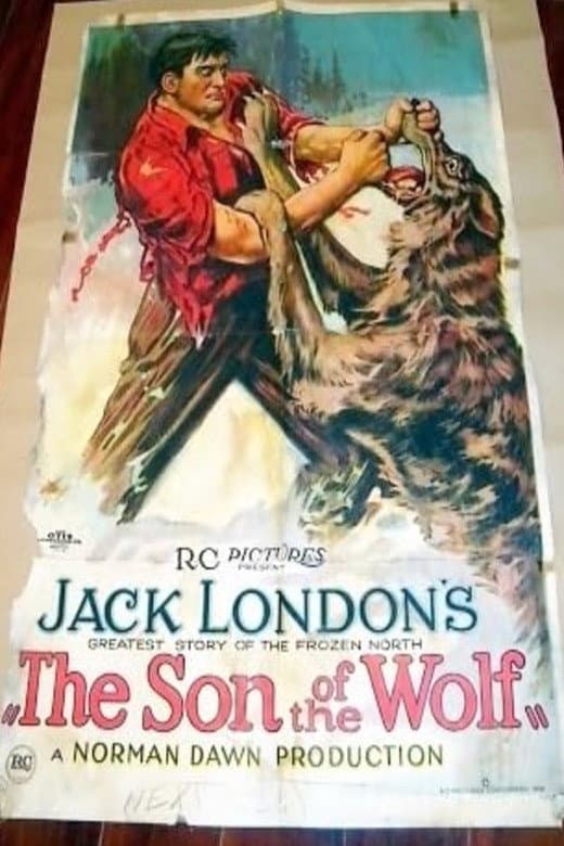 The Son of the Wolf backdrop