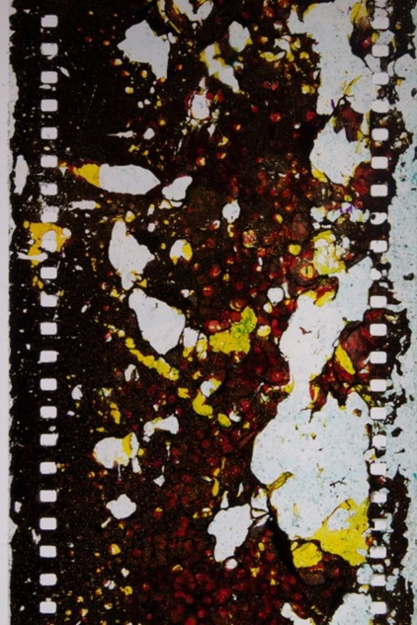 Salt Crystals Spiral Jetty Dead Sea Five Year Film backdrop