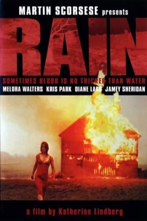 Rain backdrop
