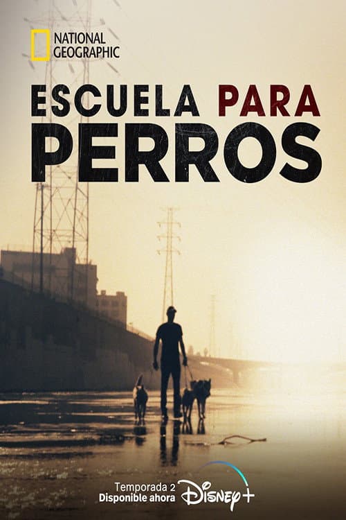 Escuela para perros backdrop