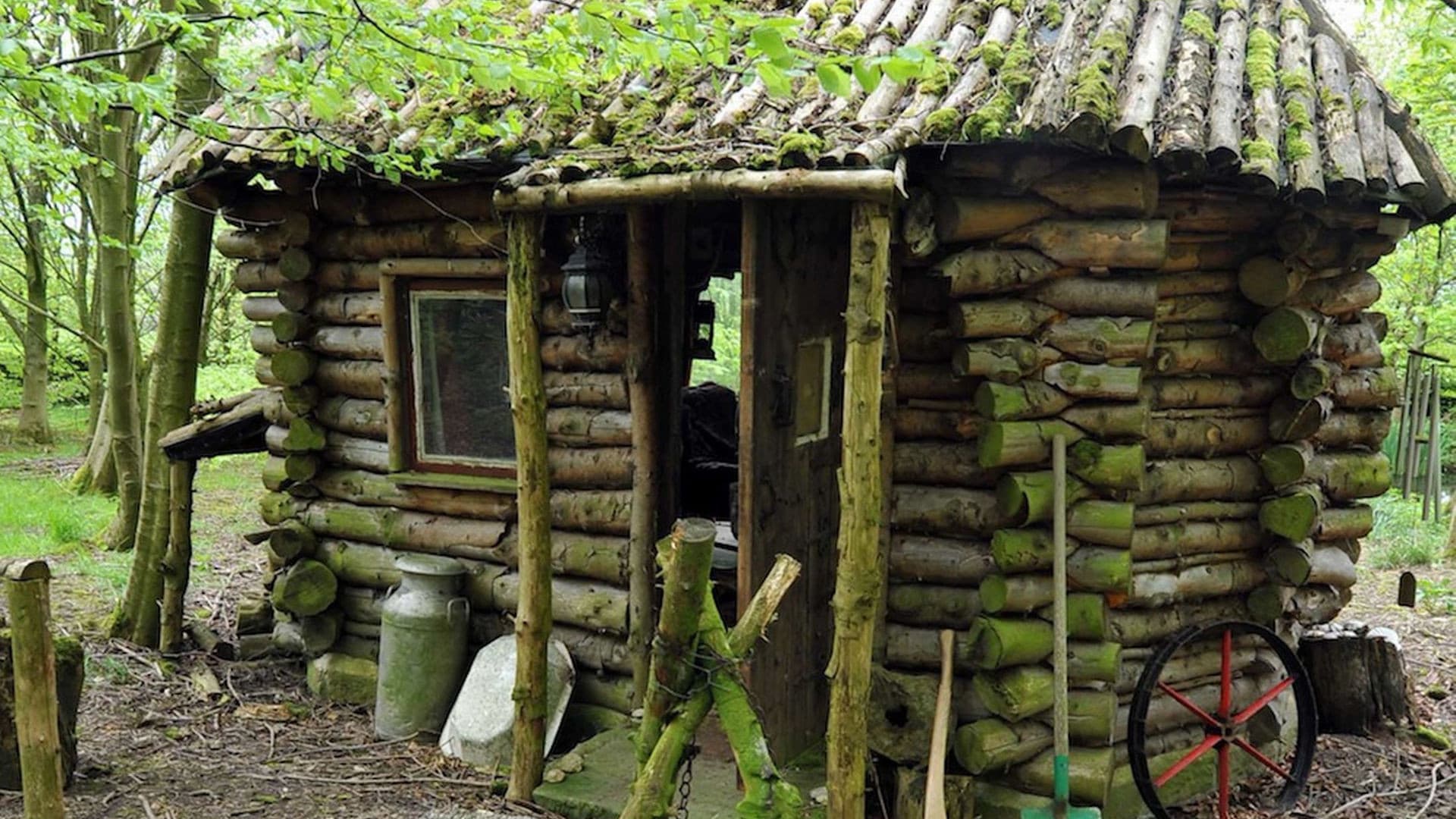 Amazing Spaces: Shed of the Year backdrop