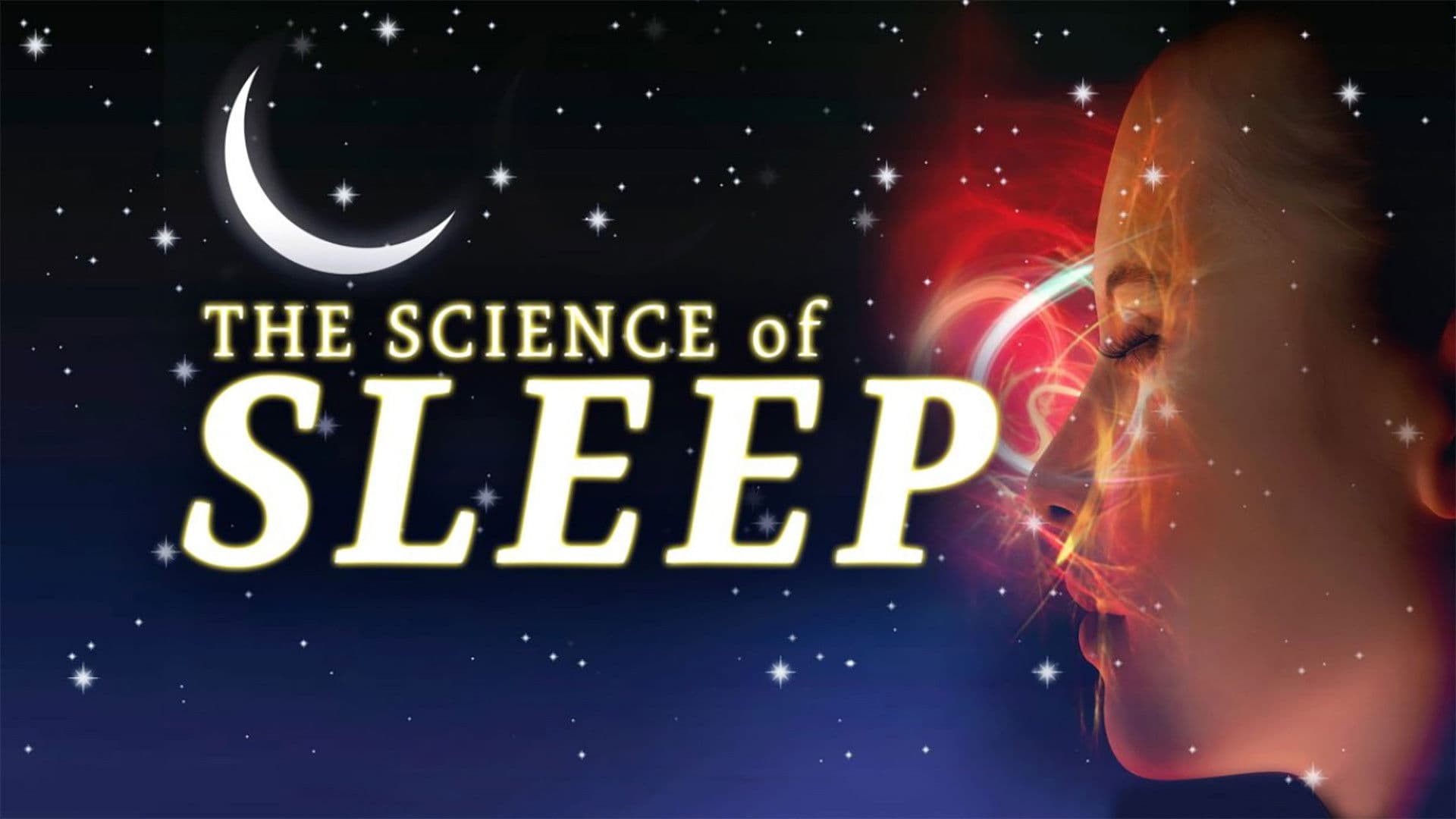 The Science of Sleep backdrop