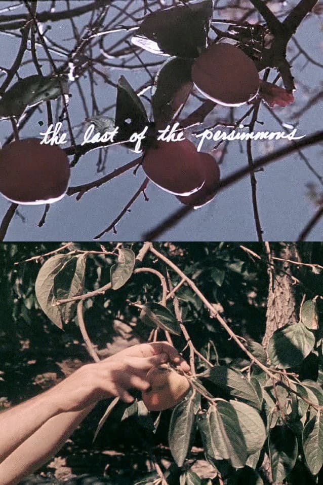 The Last of the Persimmons backdrop