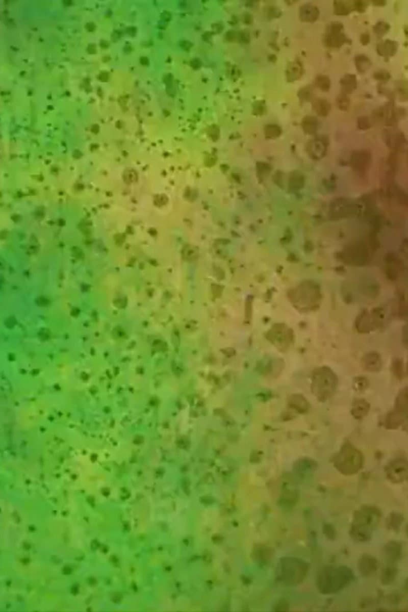 Blue Moon backdrop
