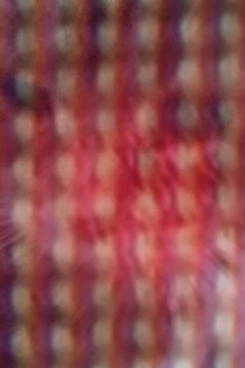 CCCD backdrop