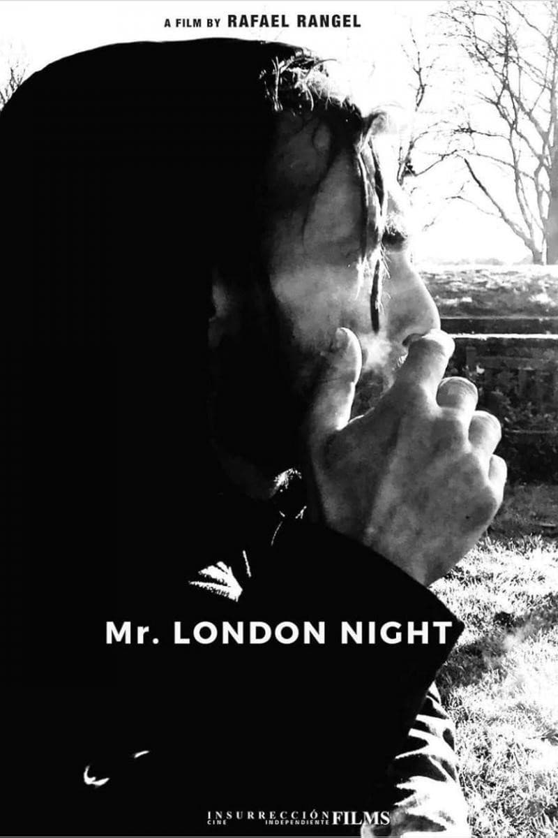 Mr. London Night backdrop