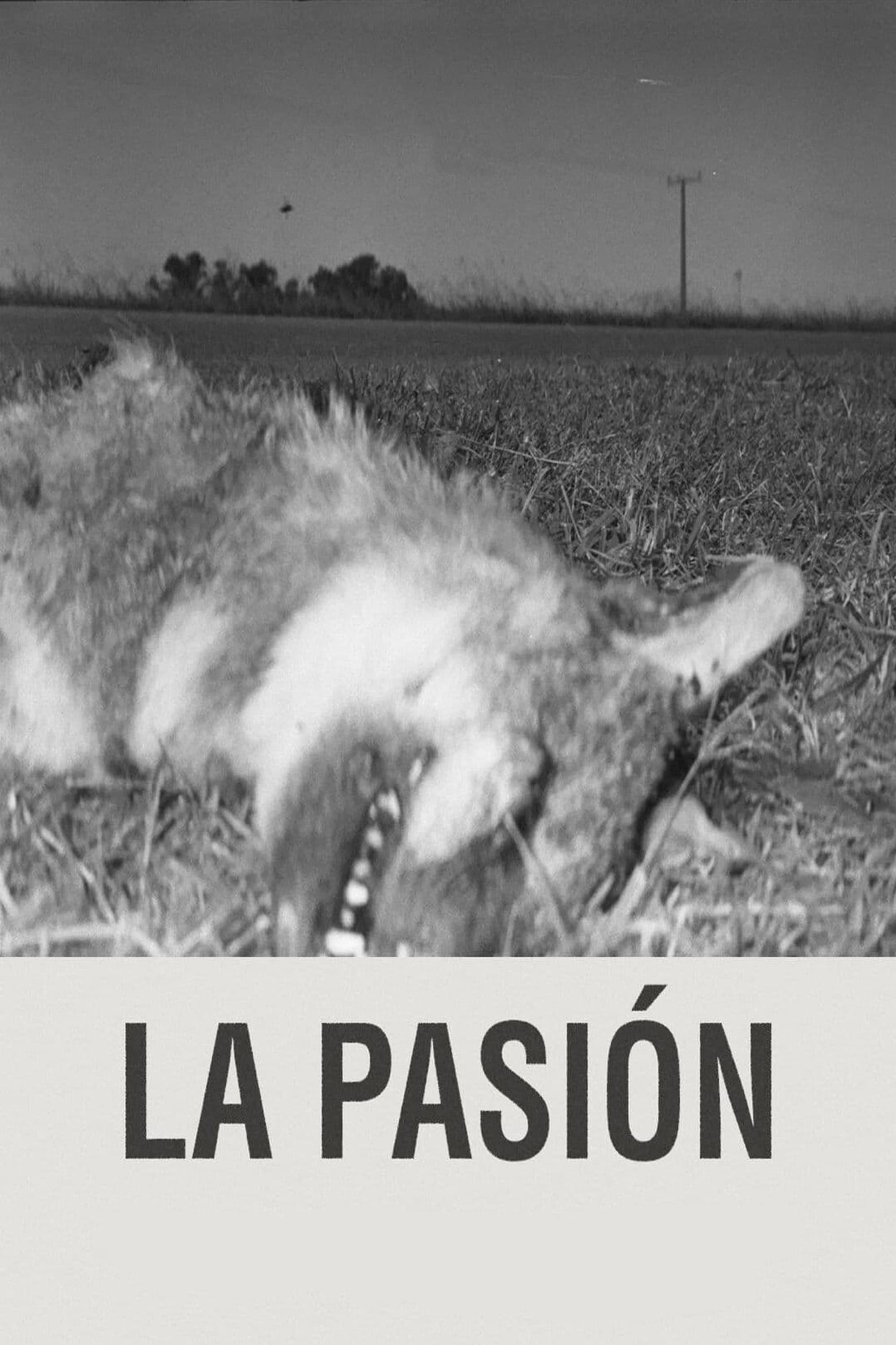The Passion backdrop