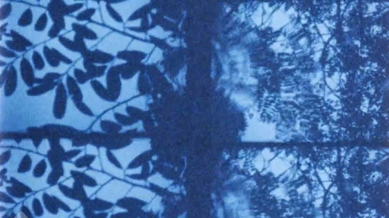 17 Reasons Why backdrop