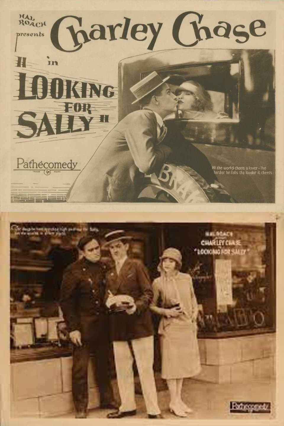Looking for Sally backdrop