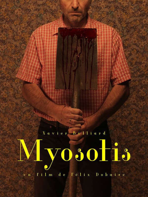 Myosotis backdrop
