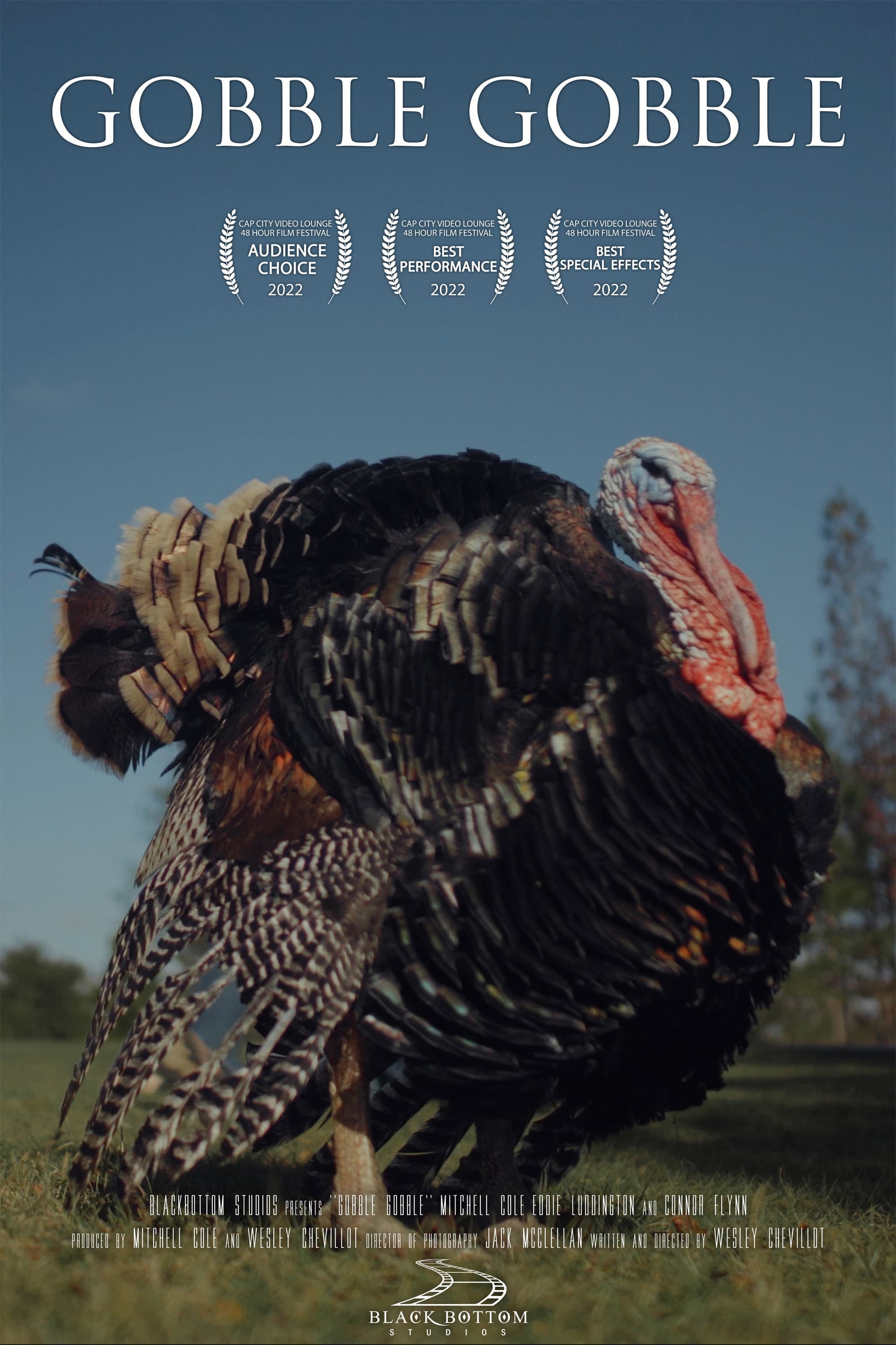 Gobble Gobble backdrop
