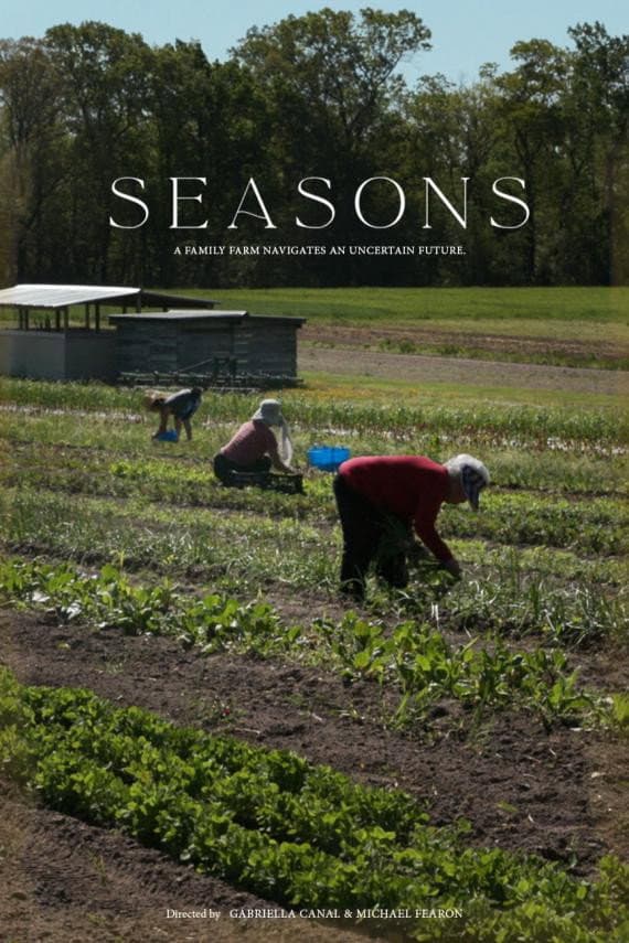 Seasons backdrop