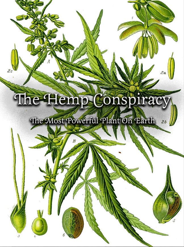 The Hemp Conspiracy: The Most Powerful Plant in the World backdrop