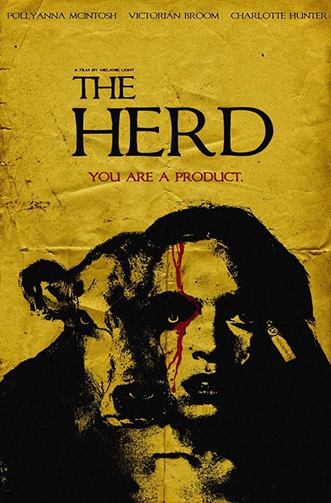The Herd backdrop