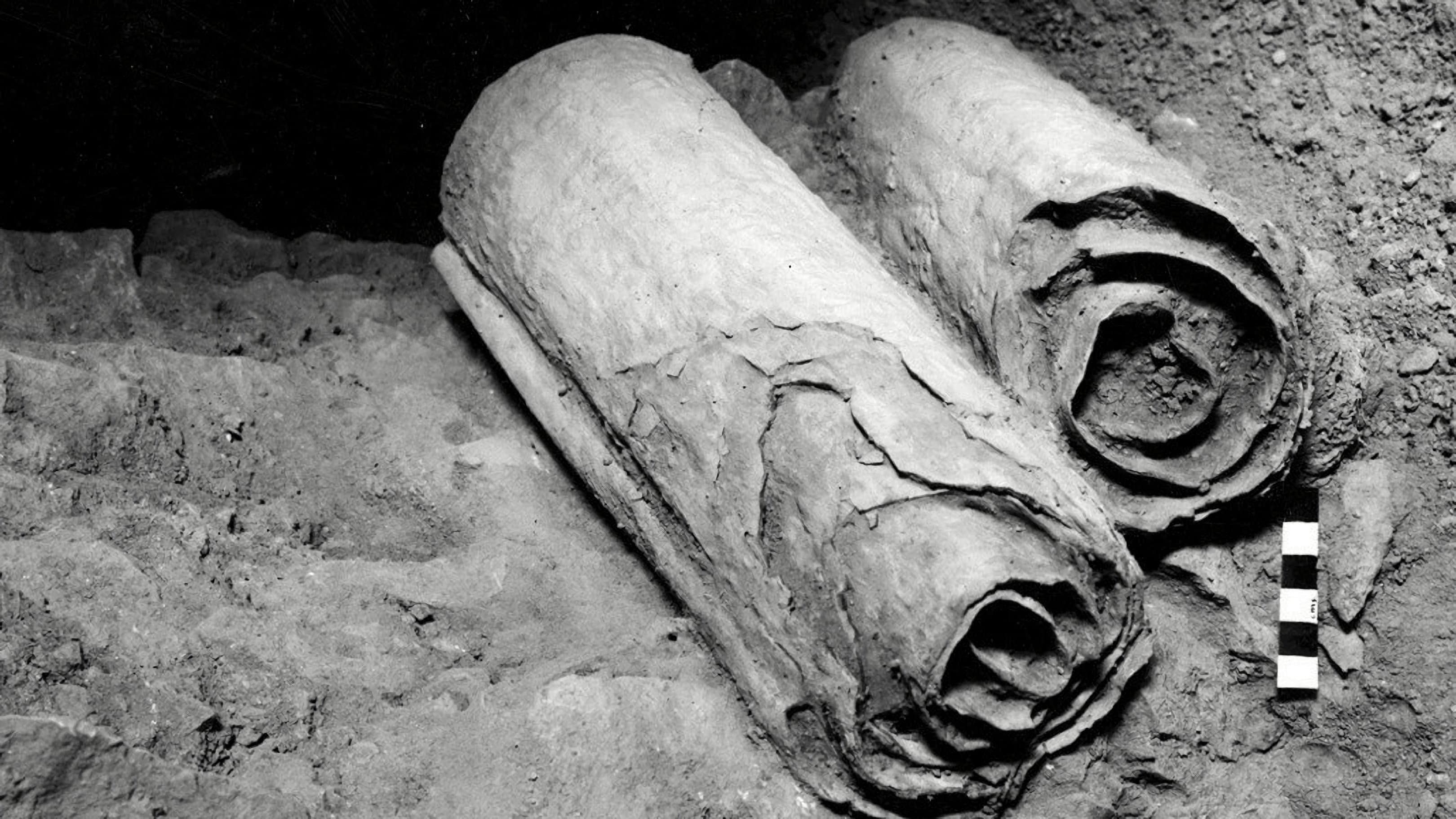 La ricerca dei rotoli del mar morto backdrop