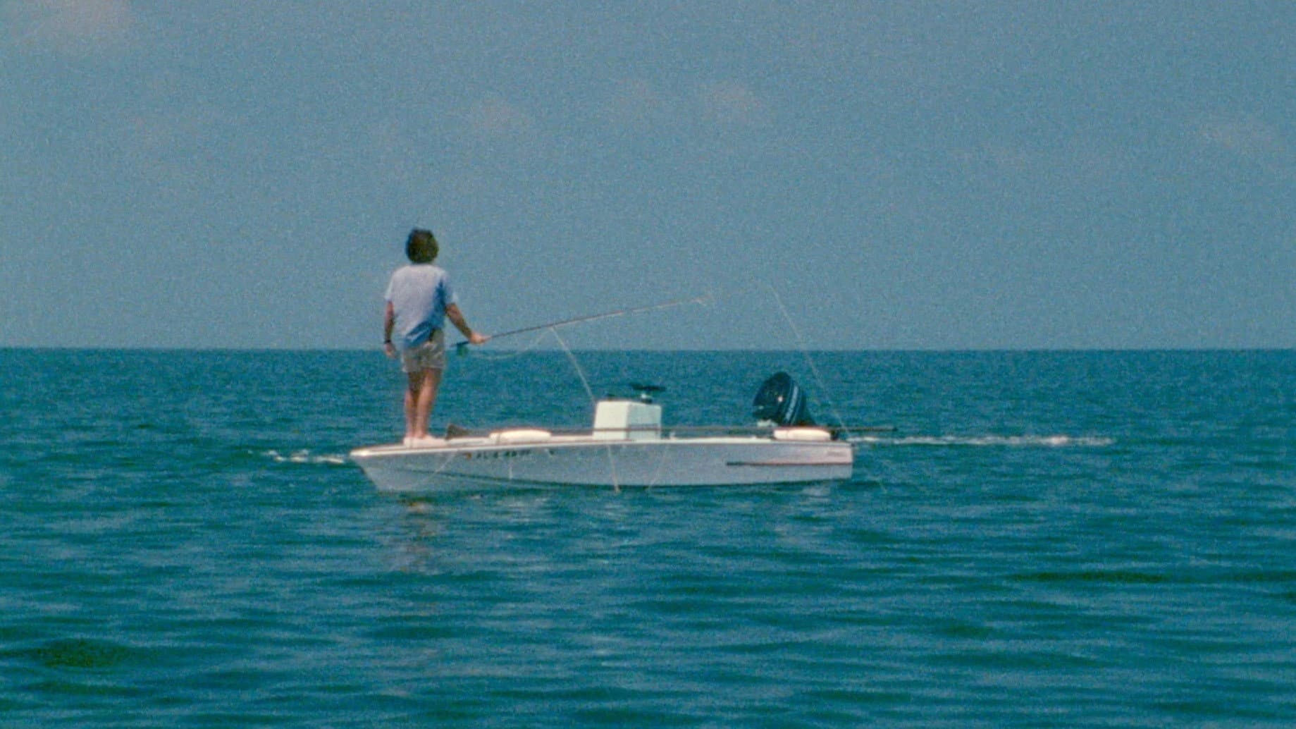 Tarpon backdrop