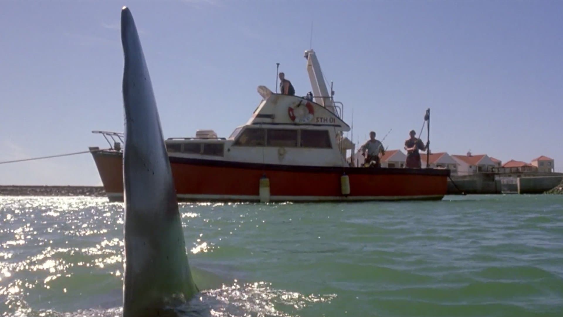 Shark Attack 2 backdrop