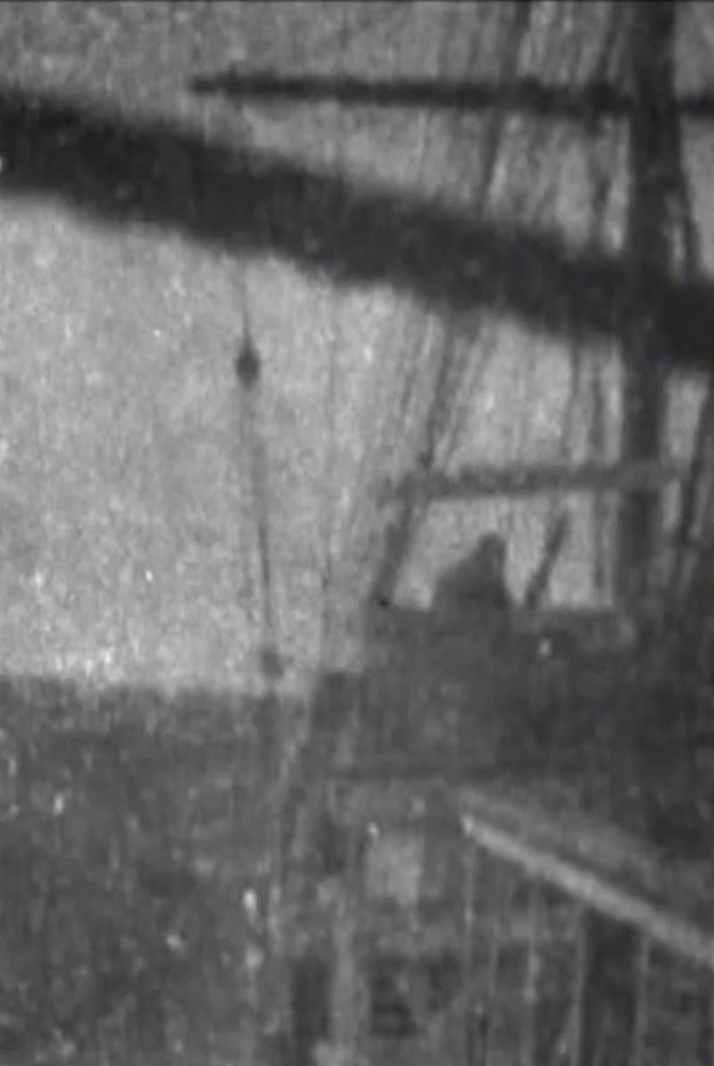 S.S. "Coptic" Running Against the Storm backdrop