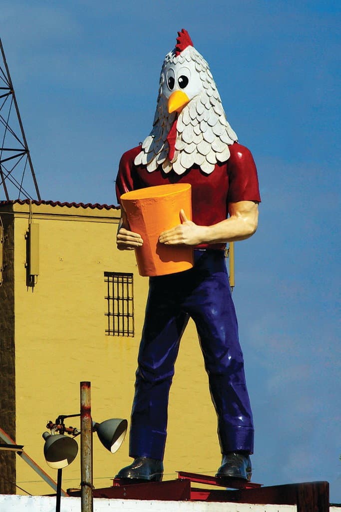 Chicken Boy: The Movie backdrop