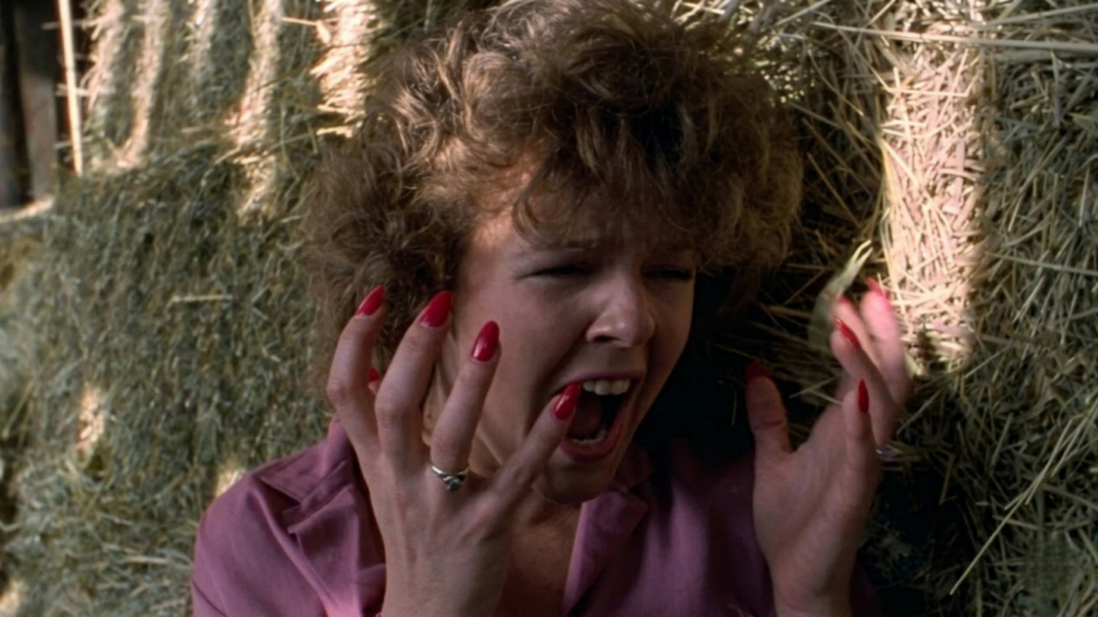 FleshEater: Revenge of the Living Dead backdrop