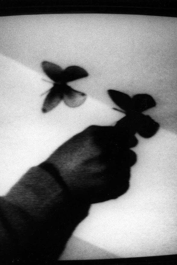 Trace Of Shadow backdrop