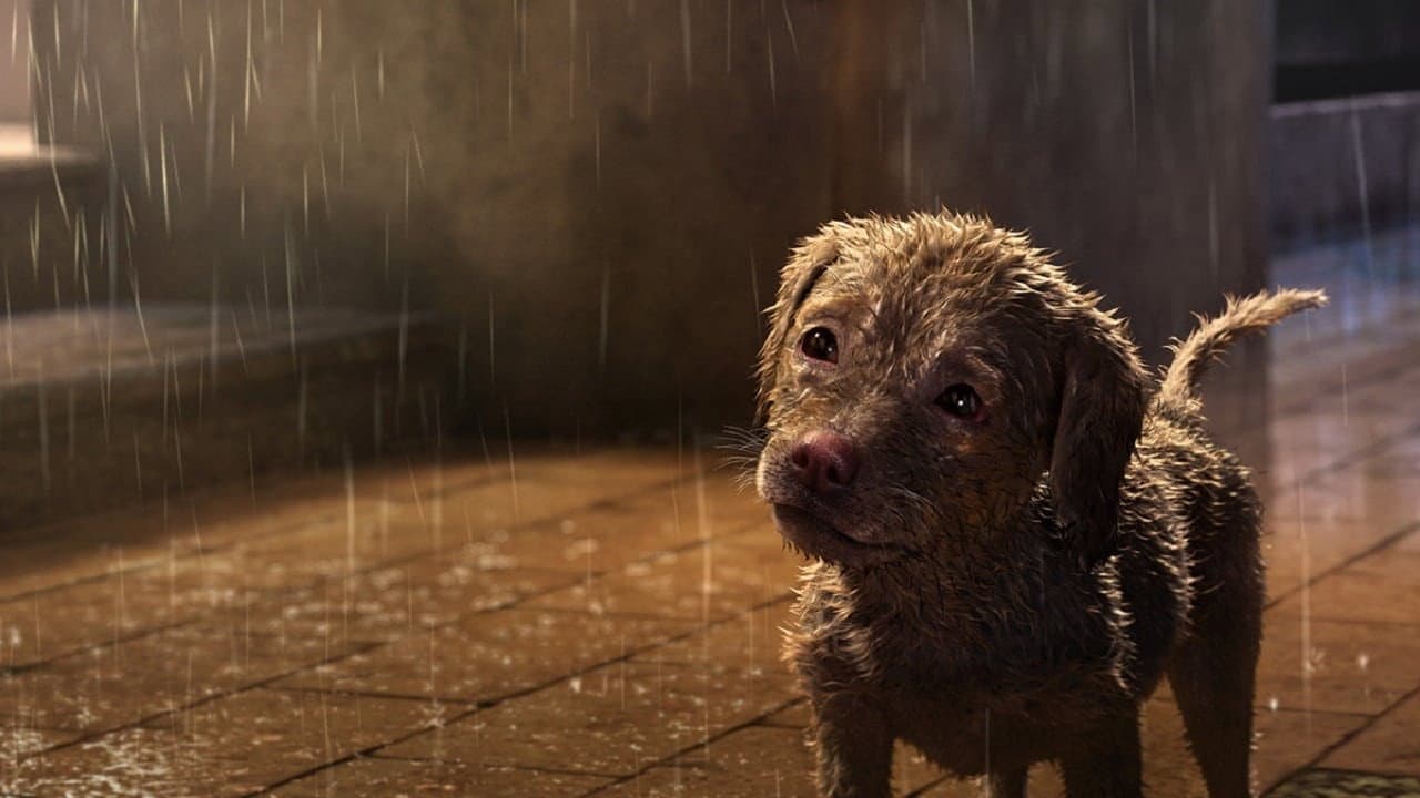 A Dog's Life backdrop