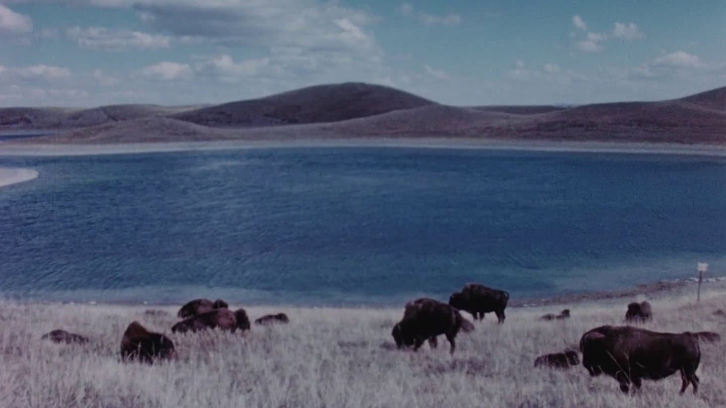 Concerto for Water, Sun and Wilderness backdrop