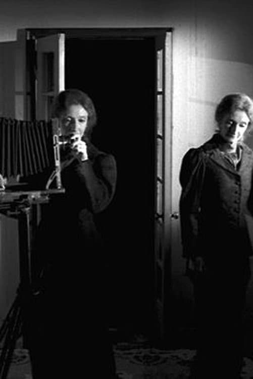 The Multiple Selves of Hannah Maynard backdrop