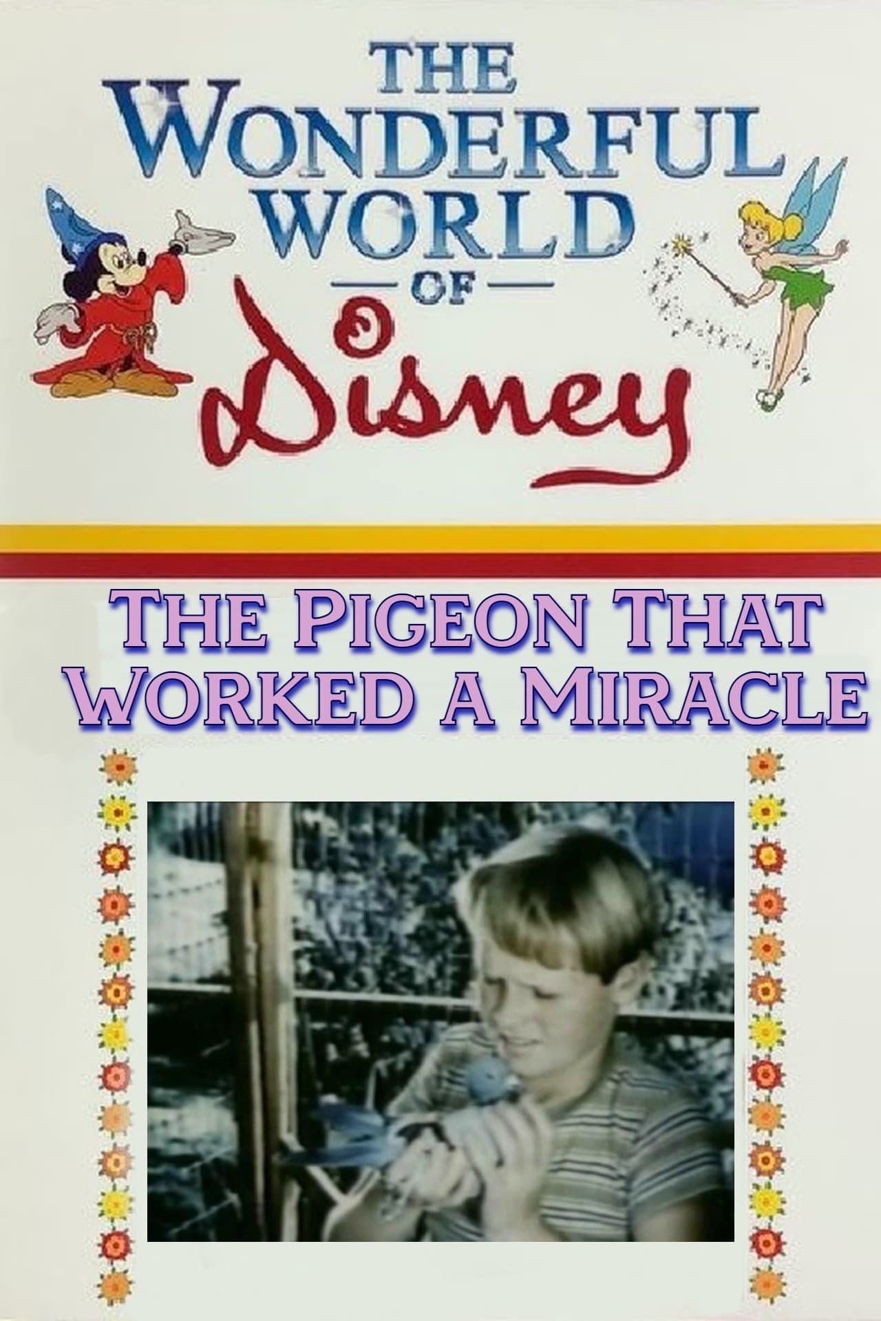 The Pigeon That Worked a Miracle backdrop