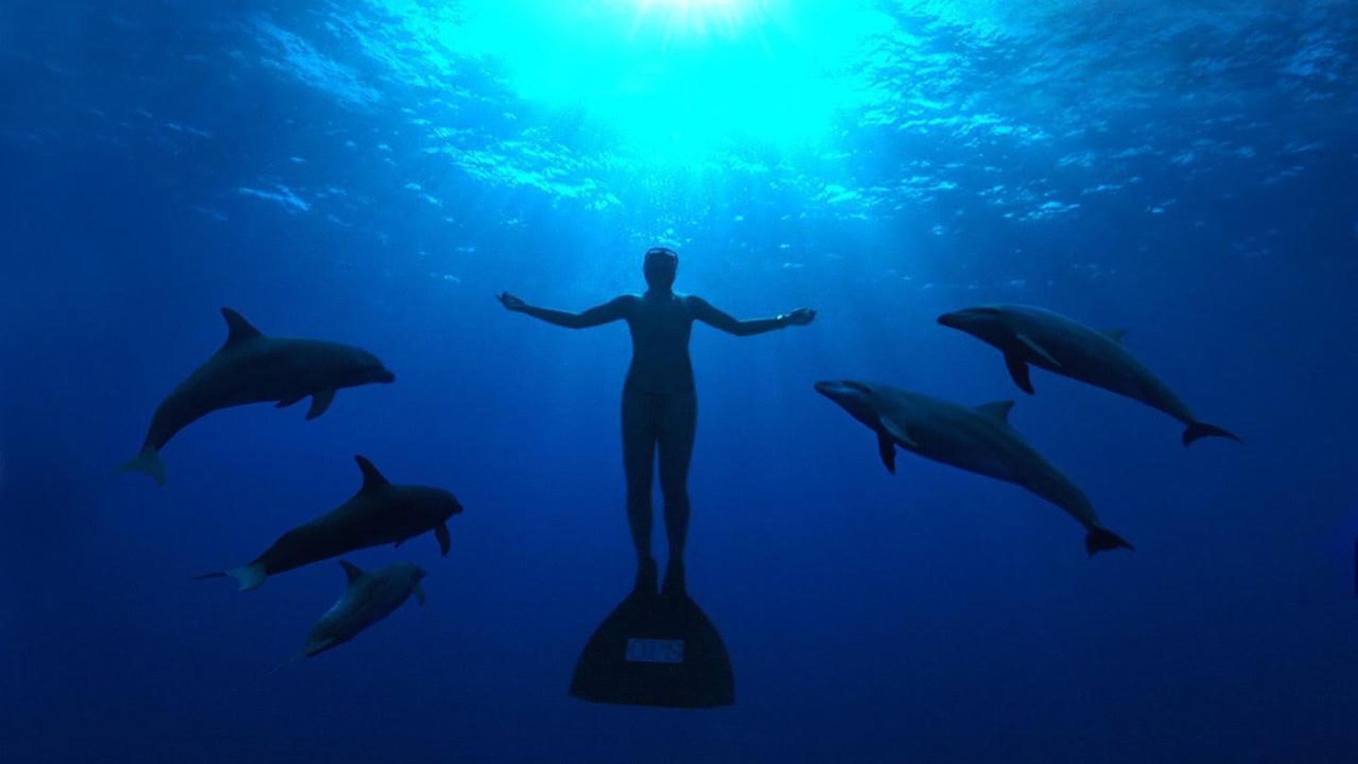 The Cove backdrop