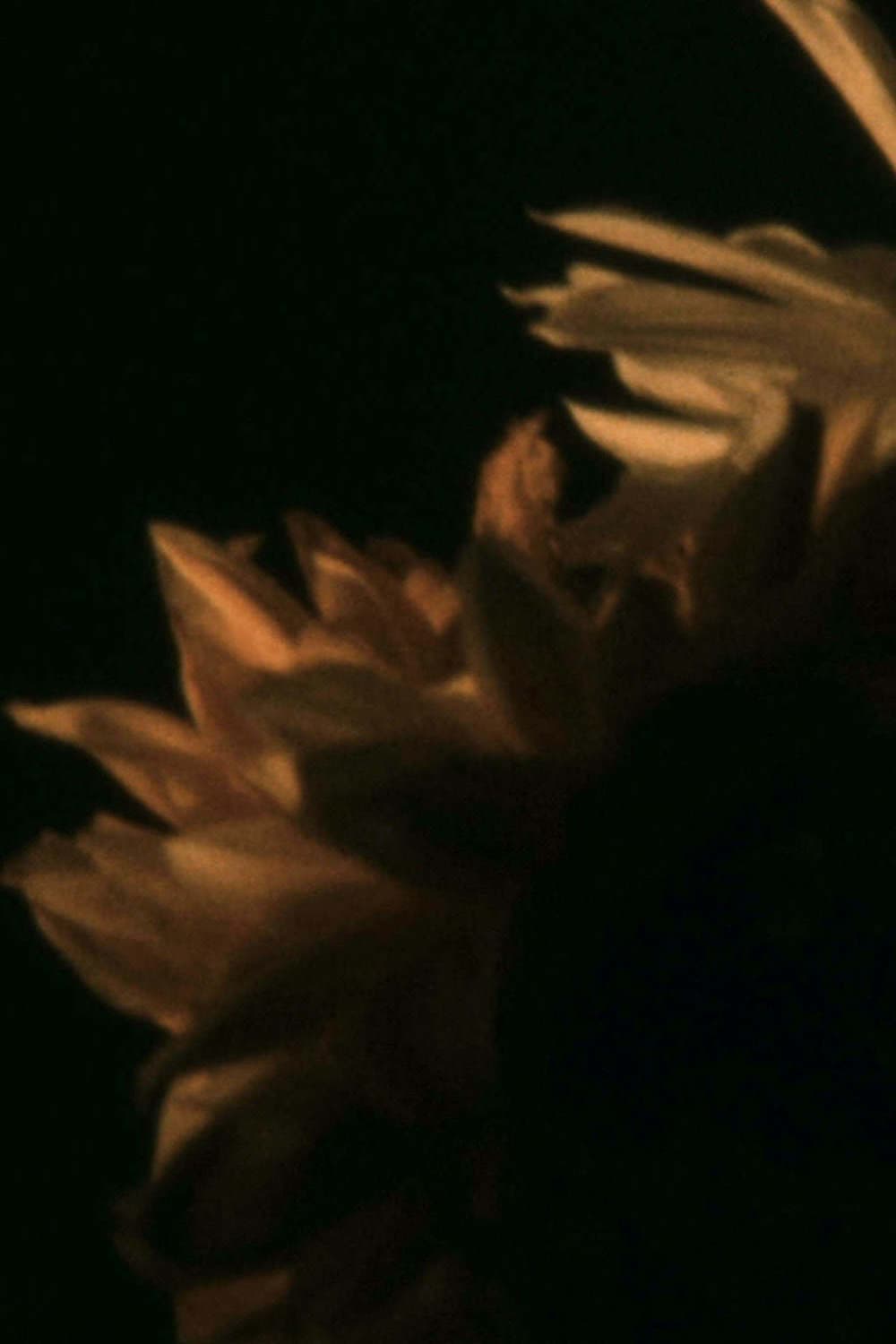 passages backdrop