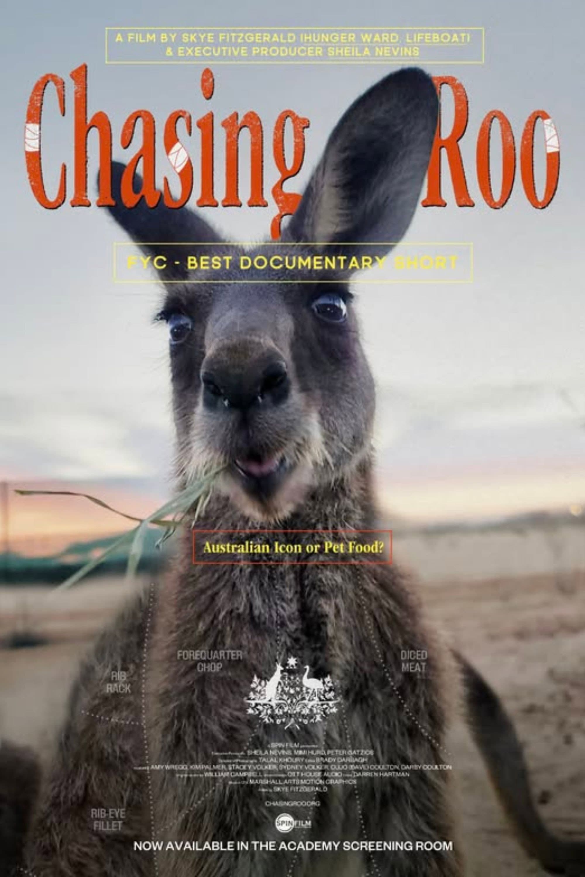 Chasing Roo backdrop