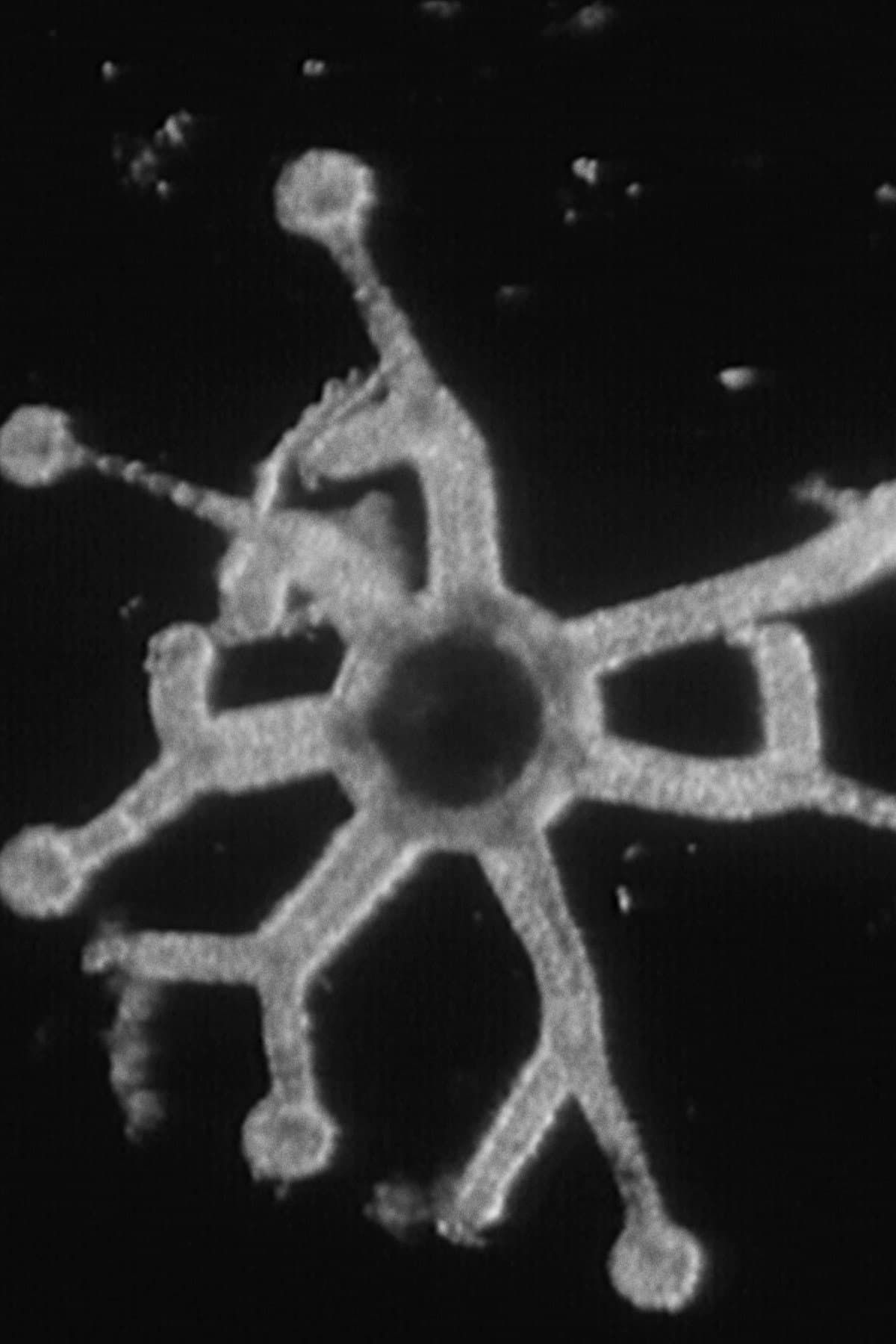 How Some Jellyfish Are Born backdrop