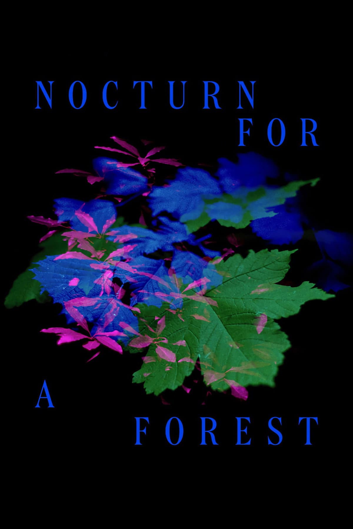Nocturne for a Forest backdrop