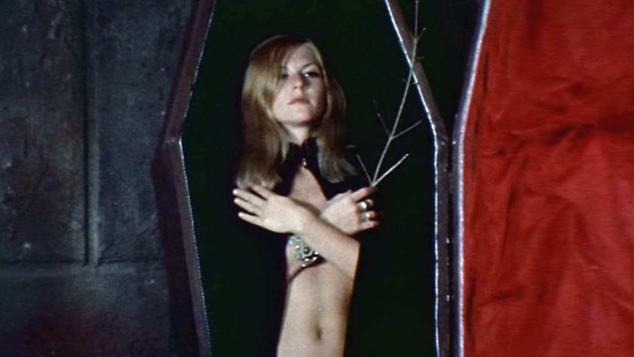 Terror at Orgy Castle backdrop