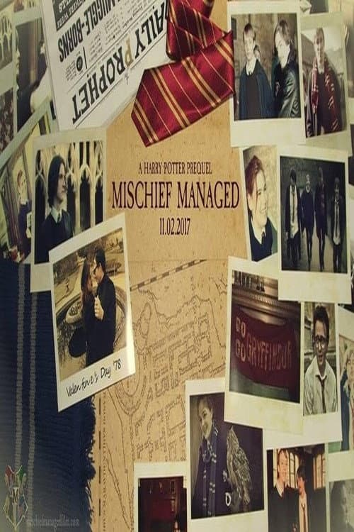 Mischief Managed backdrop