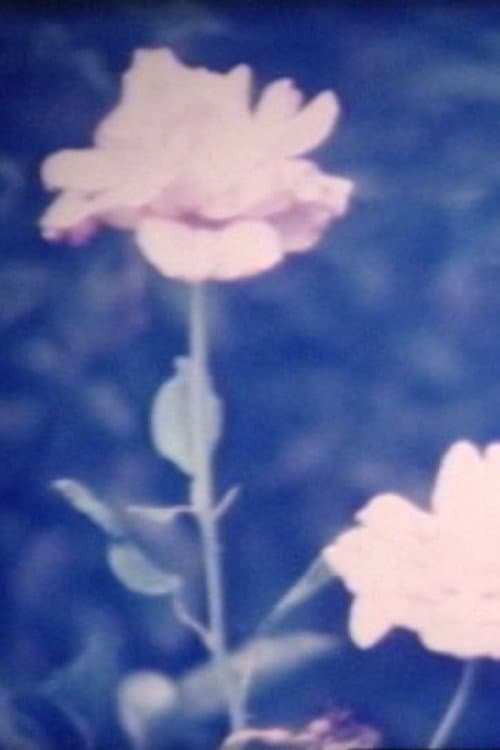 When the flower blooms backdrop