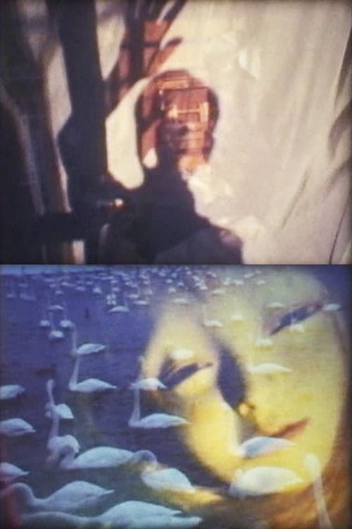 Filmletter★oufuku IV backdrop
