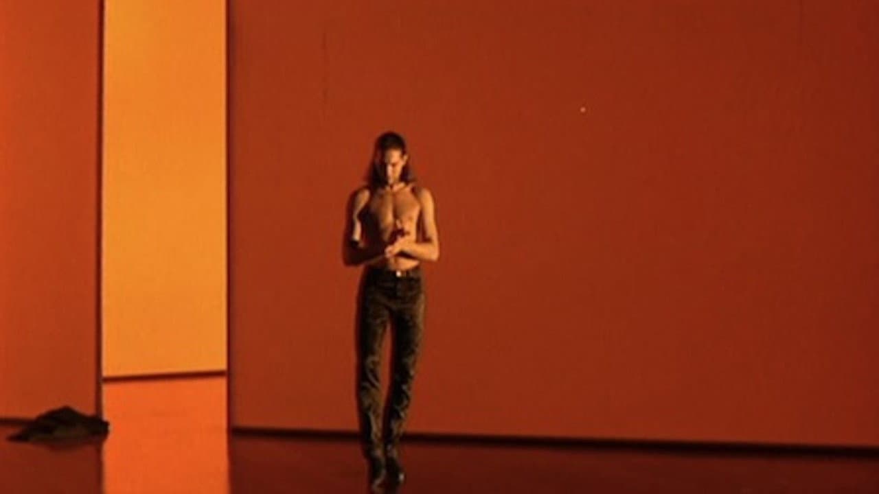 Flamenco backdrop