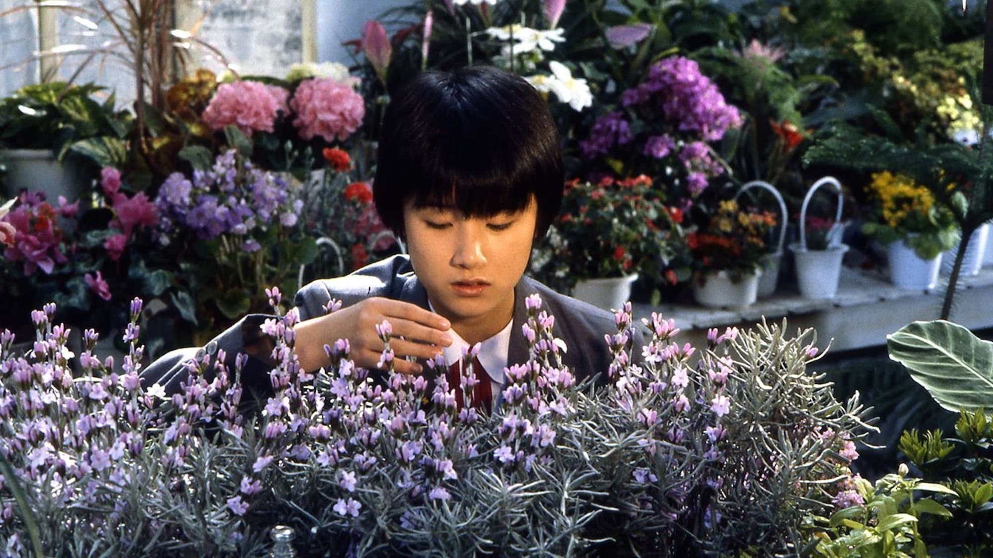 The Girl Who Leapt Through Time backdrop