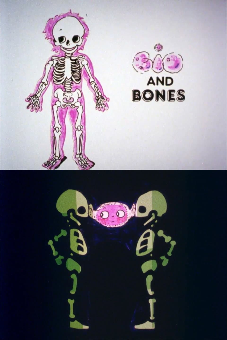 Bio and Bones backdrop