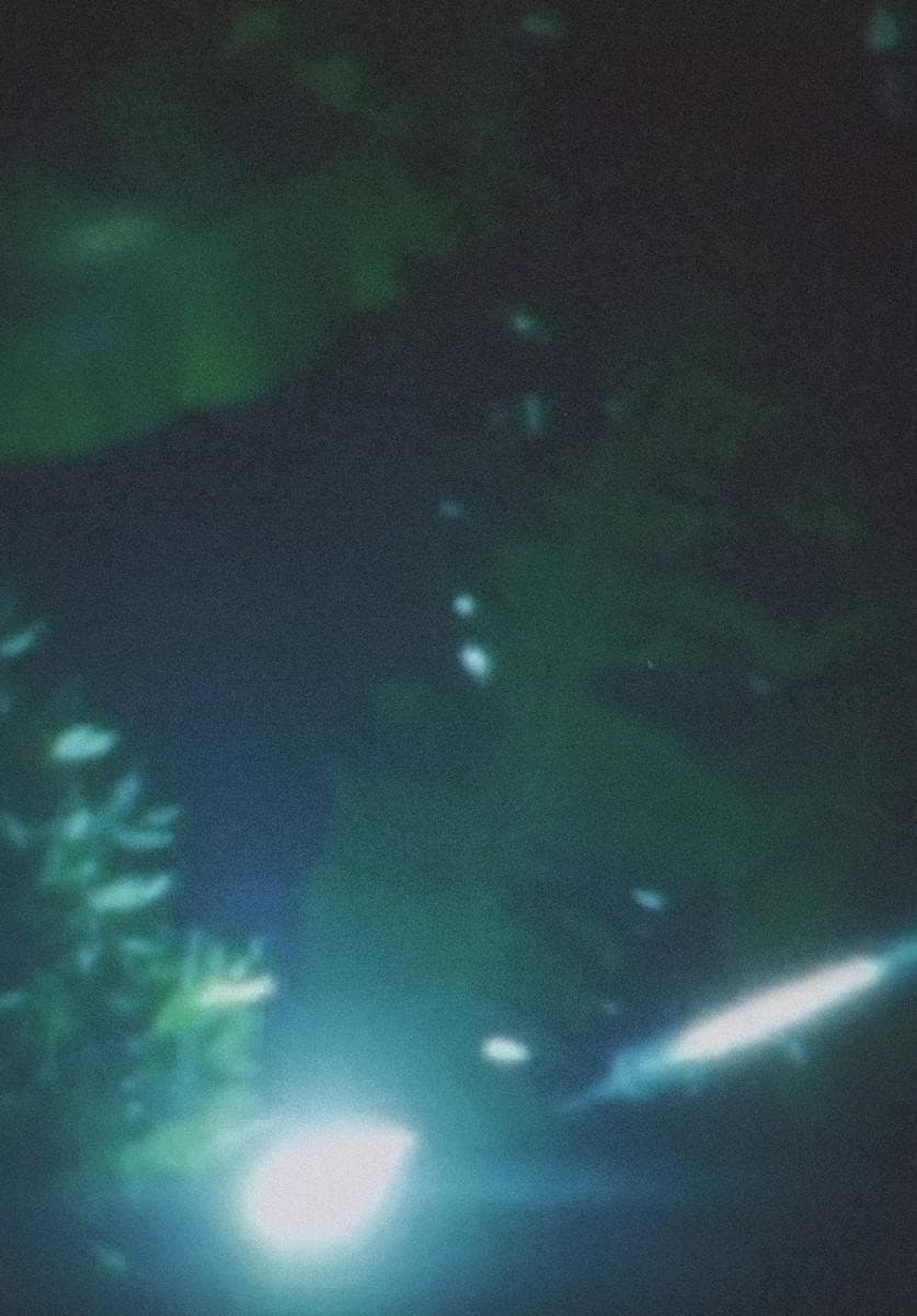Lantern Sight backdrop