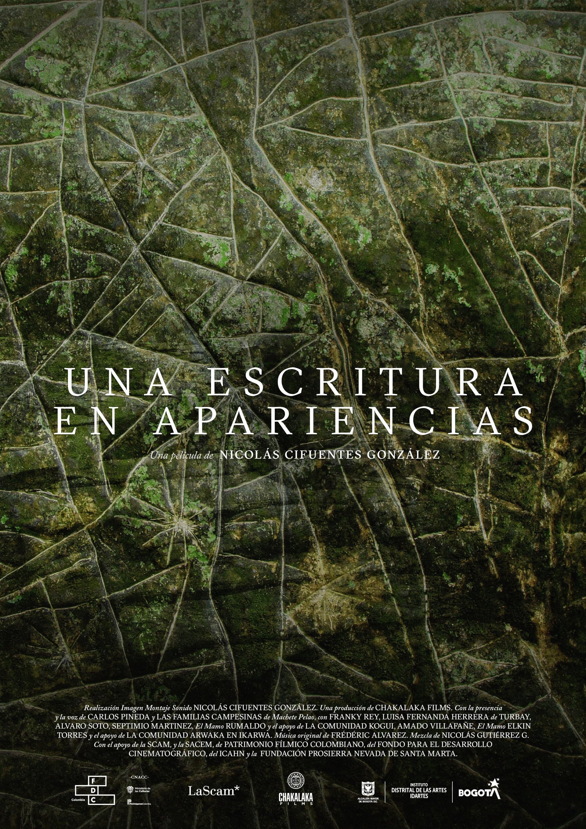 Una Escritura En Apariencias backdrop