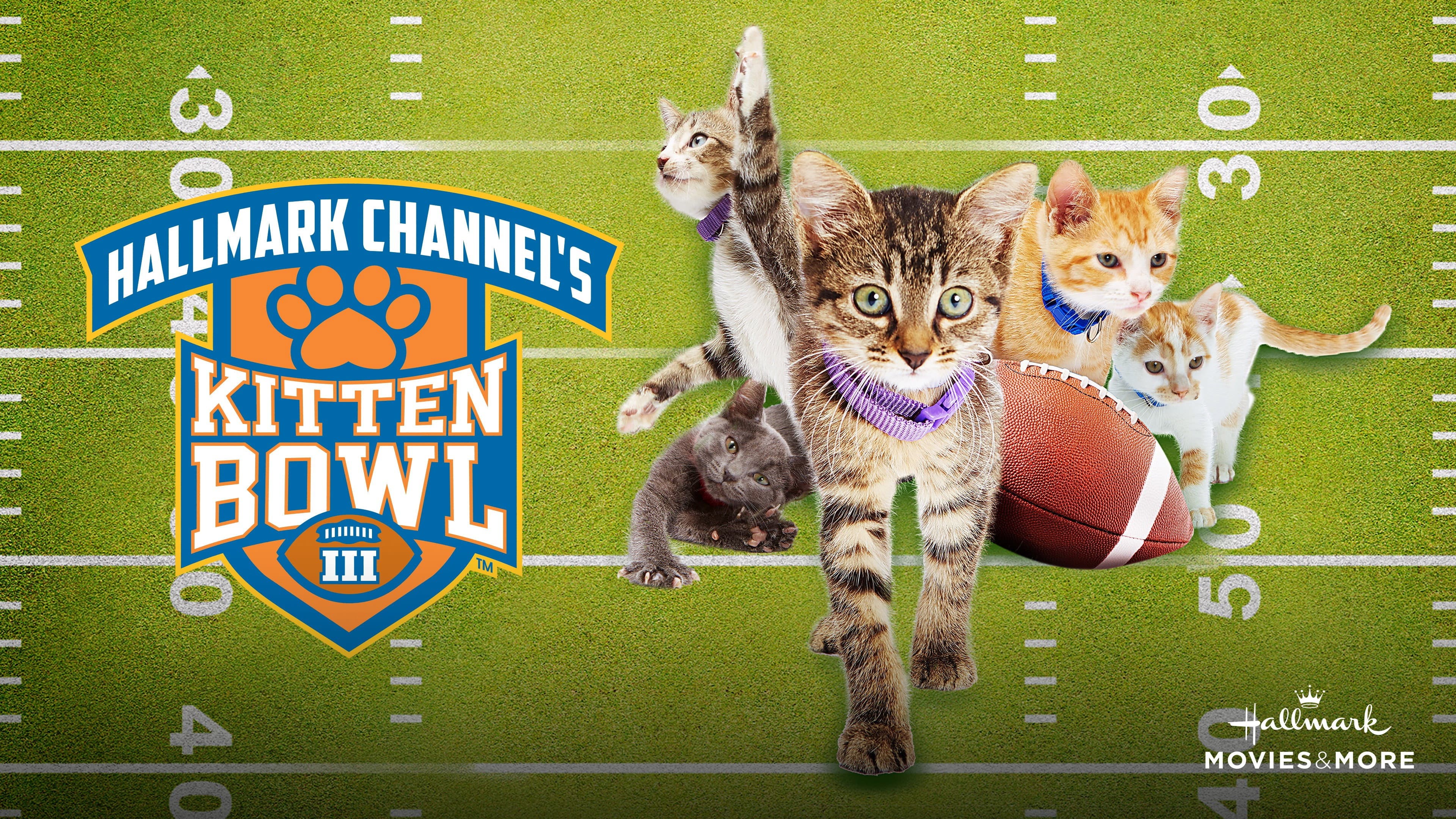 Kitten Bowl III backdrop