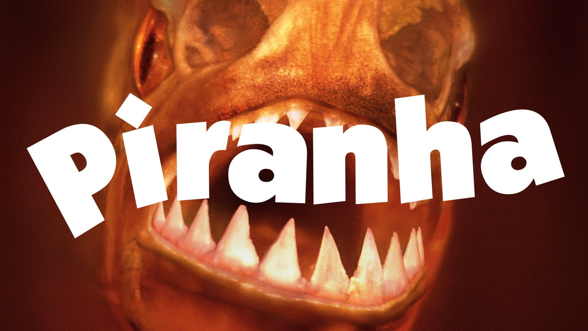 Piranha backdrop