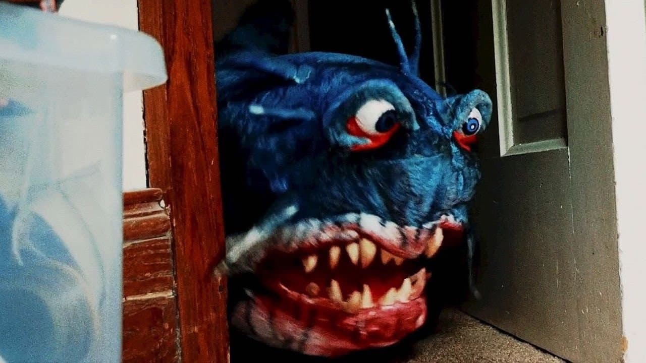 Doll Shark backdrop