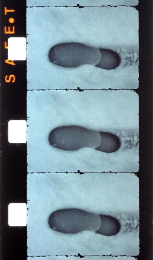 Prima neve backdrop
