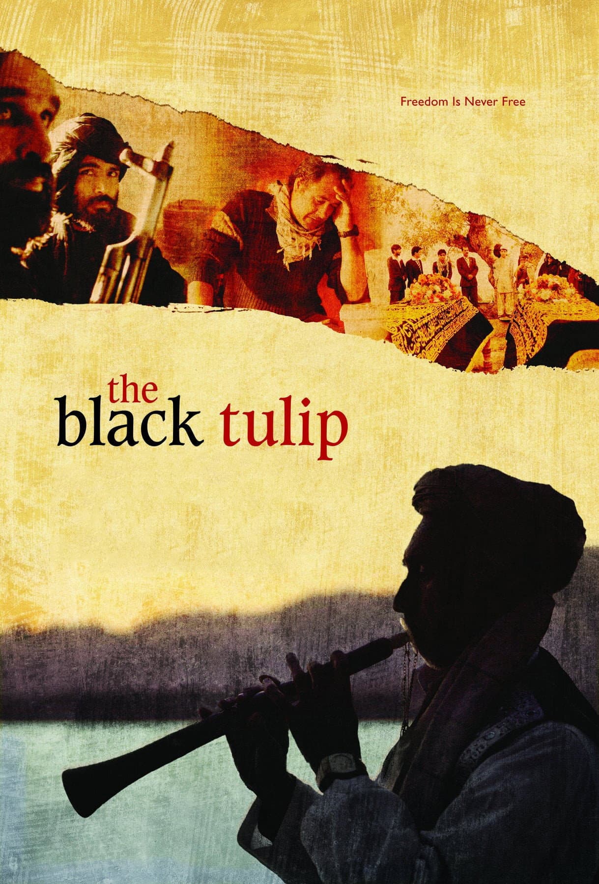 The Black Tulip backdrop